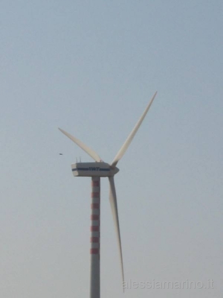sardegna 2008 162.jpg