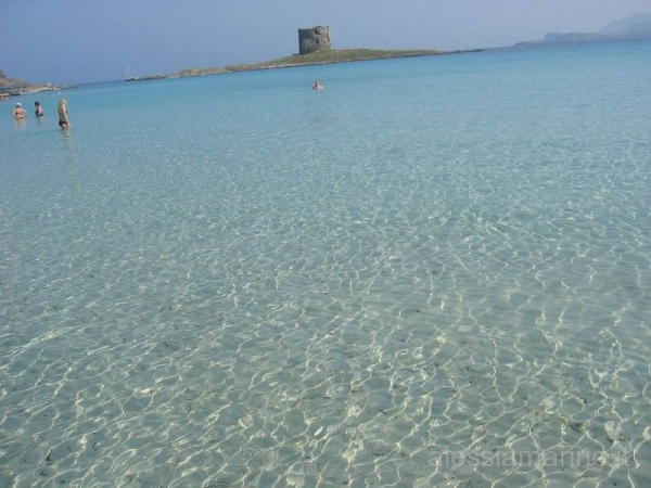 sardegna 2008 182.jpg