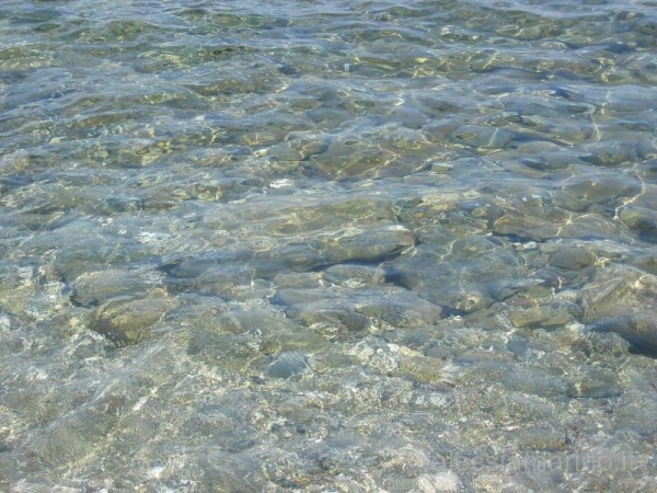 sardegna 2008 096.jpg