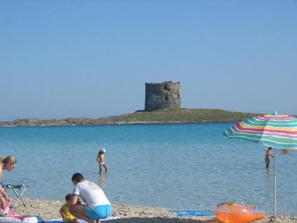 sardegna 2008 036.jpg