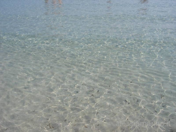 sardegna 2008 170.jpg