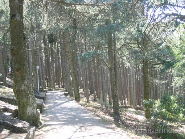sardegna 2008 147.jpg